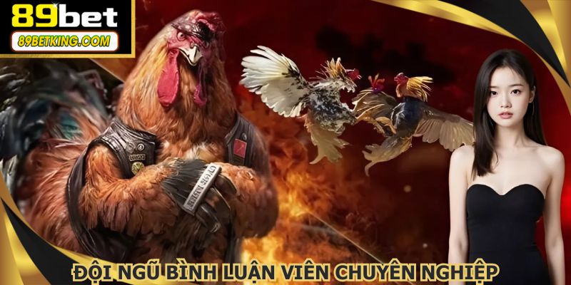 Hệ thống có đội ngũ BLV cho mỗi màn so kè